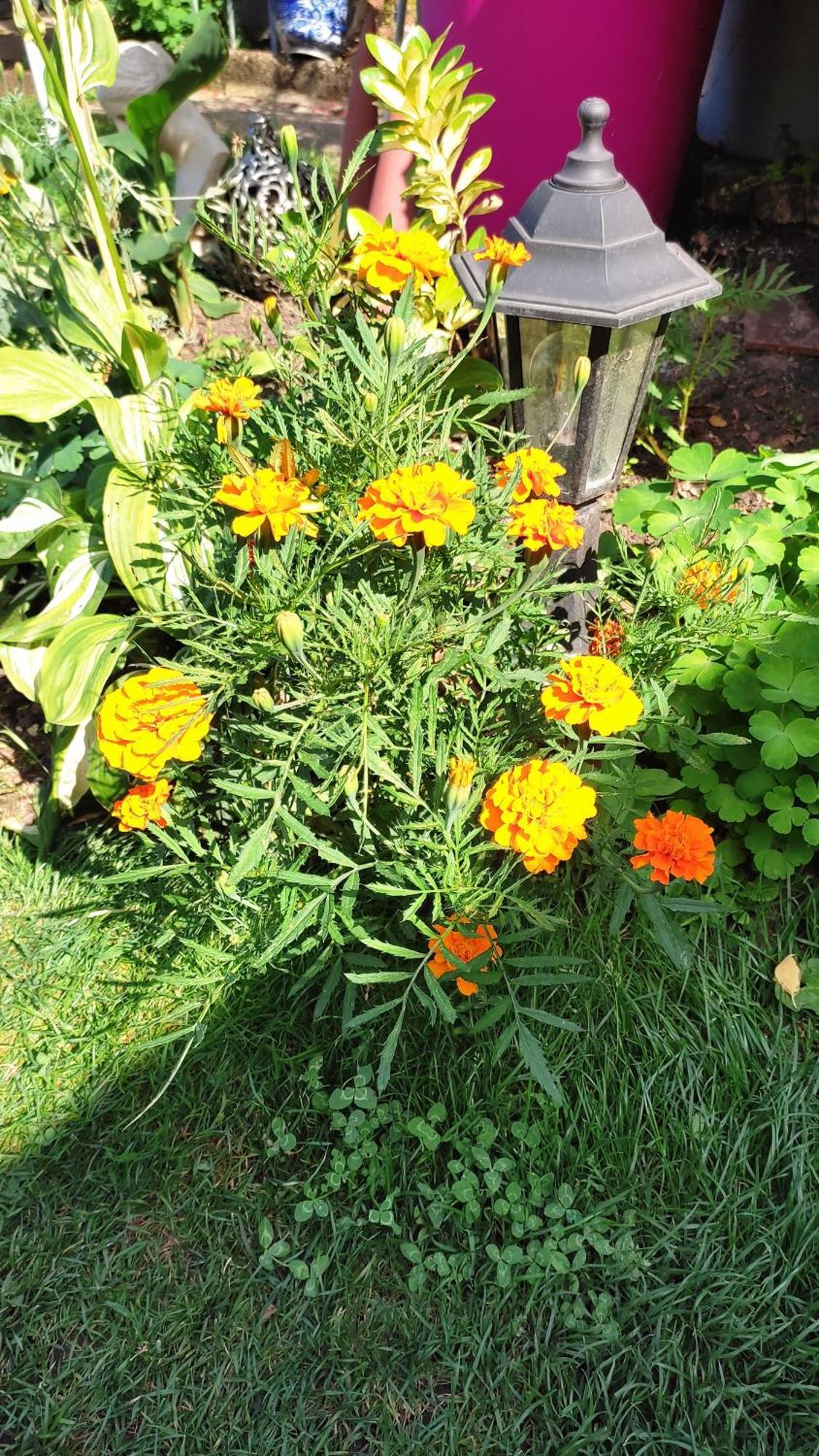 Un Deux Pieces Et Un Jardin A Villejuif Ngoại thất bức ảnh