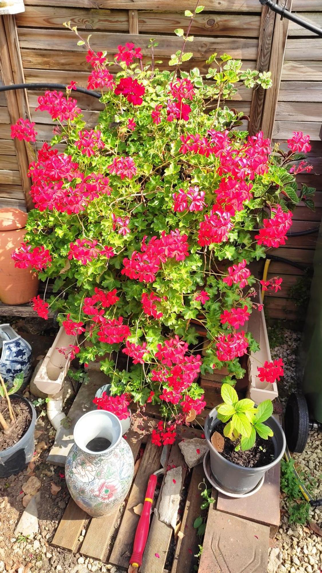 Un Deux Pieces Et Un Jardin A Villejuif Ngoại thất bức ảnh