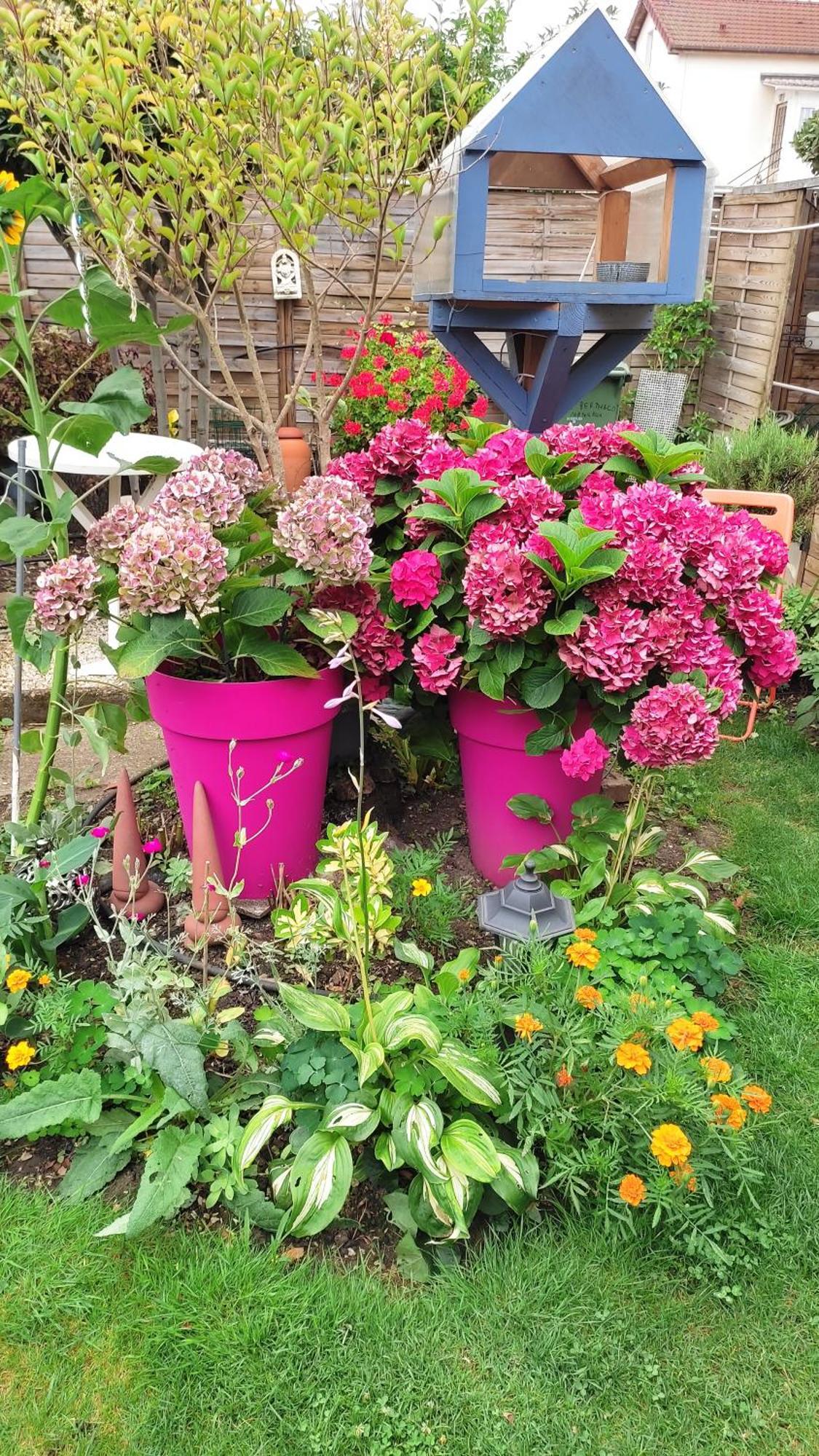 Un Deux Pieces Et Un Jardin A Villejuif Ngoại thất bức ảnh